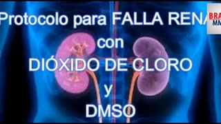 Protocolo para falência renal com: CDS + DMSO + ÁGUA