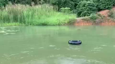 Um simples lago