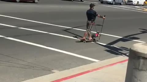 Guy skateboard street dog on leash skis