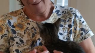 MowMow gets a home