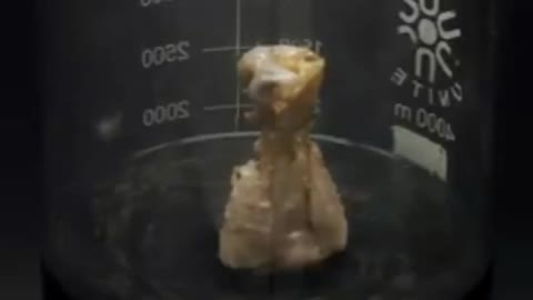 Crazy experiment 😱 with Pirhana Solution and Chicken Leg piece