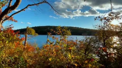 The Beauty of Peak Fall Foliage 🍁 Autumn in New England Part 1-16