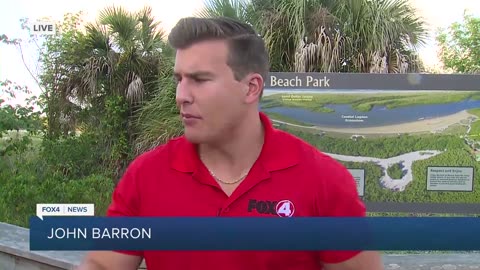 Investigation on Marco Island after Sea Turtle nest gets run over