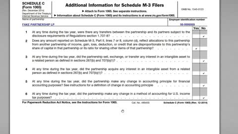 Form 1065 Schedule C - Who Needs to File?