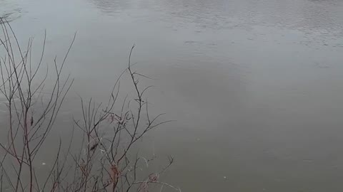 Rio Grande River in Albuquerque, New Mexico January 16, 2023