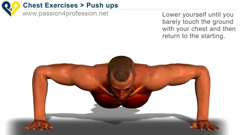 Home chest exercise: Push Up