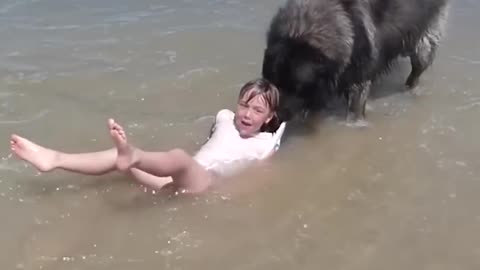 Dog 'Saves' His Little Girl From The Ocean