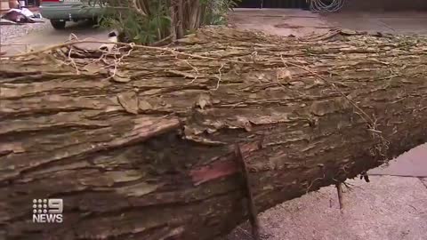 A surprise storm has uprooted trees crushing homes and cars across the suburbs.