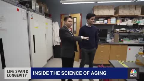 Researchers Say They Are Close To Reversing Aging