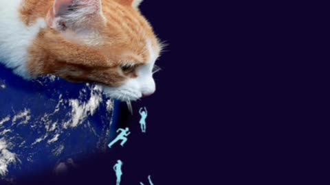 Cats and flat Earthers
