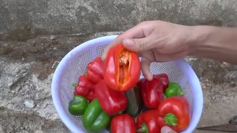 Try this tips on growing bell peppers in plastic bottles, you won't have to buy peppers again