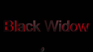 Black Widow Coming Soon!