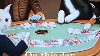 AI cat poker