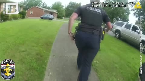 Mr. BaconBits: Louisville Police and Citizens Embark on Wild Pig Chase, Capture Escaped Swine