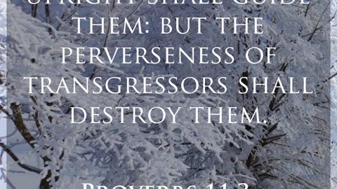 Daily Bible Verse - Proverbs 11;3