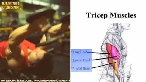 tricep workout dumbbell