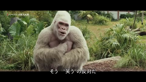 Albino gorilla gives middle finger to his foster parents - Rampage Giant Beast Brawl - Netflix Japan