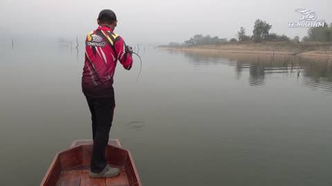 This is what a cobra snake looks like...Srinakarin Dam