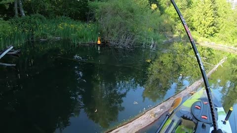 Underwater Fishing! Big Bass, and Bluegill Cacht & Cook!