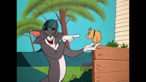 Tom & Jerry End the Year with Tom and Jerry