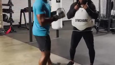 Francis Ngannou's hardest punch