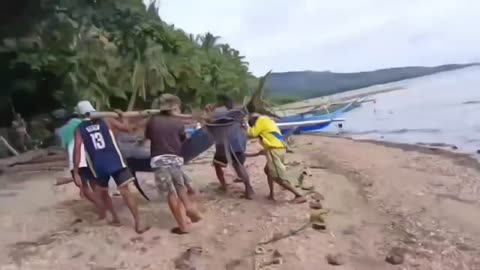 Big Fish Caught by Fishermen's in Antique