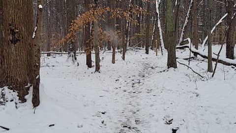 4k hd first snowfall in michigan.