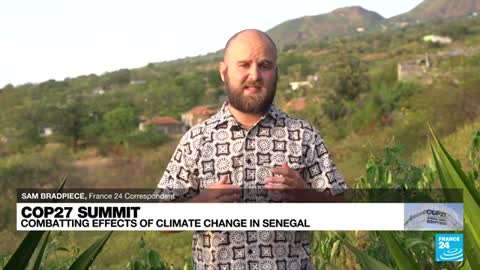 COP27: Combatting effects of climate change in Senegal