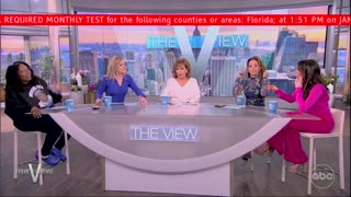 'I Was Skewered': 'The View' Co-Hosts Spar Over Gun Laws