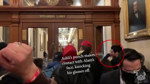 Ashley Babbit slaps protestor breaking window? wth