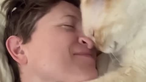 Sweet Cat Begs for Nose Kisses || ViralHog