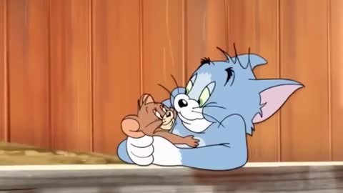 Tom and Jerry New Cartoons