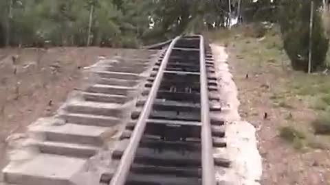 Two goofy guys ride Expedition Everest