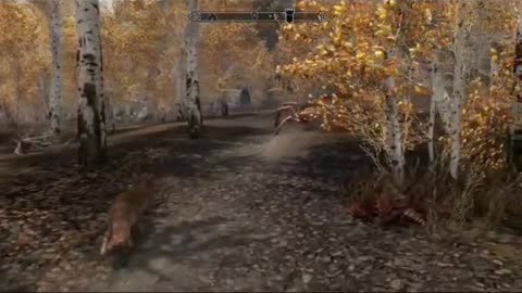 Yeah i followed a fox in skyrim