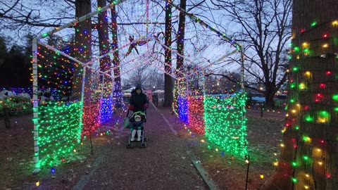 Dutch wonderland: jurassic Park xmas