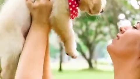 How To Train Your Puppy Dog #Shorts