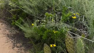 San Diego Hike