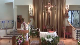 Homily for the 4th Sunday of Easter "B"