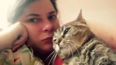 Adorable Talking Cat Rejects Head Kisses with a Hilarious NO!