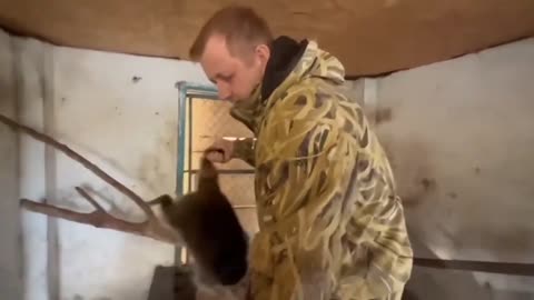 Russian soldiers steal racoon as they flee Kherson_ Ukraine officials claim