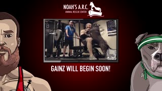 Fitness w/the Bearded Bros [Week 6] - Back, Traps & Deadlifts // Animal Rescue