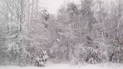 Snow in NC