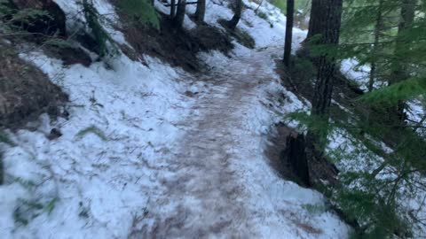 Hiking Through an Icy Old Growth Forest – Tamanawas Falls – Mount Hood – Oregon – 4K