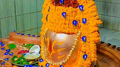 Shree neelkanth mahadev