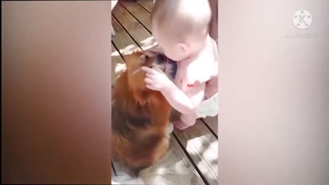 Cute dogs and babies❤️| Can't Stop Laughing 😂