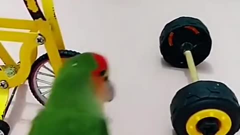 My parrot has sung a song. You can also hear his voice