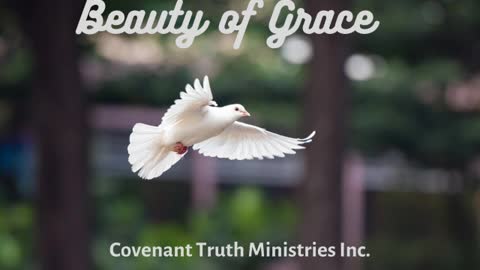 Beauty of Grace - Lesson 59 - The Camp of Grace