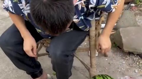 A story of watermelon I funny video #3 #shorts #funnyvideo #funny #comedy
