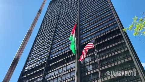 Pro palestine flag at the dnc Boston