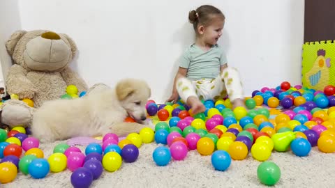 Baby and Dog Funny Playing with Сolorful Balls!